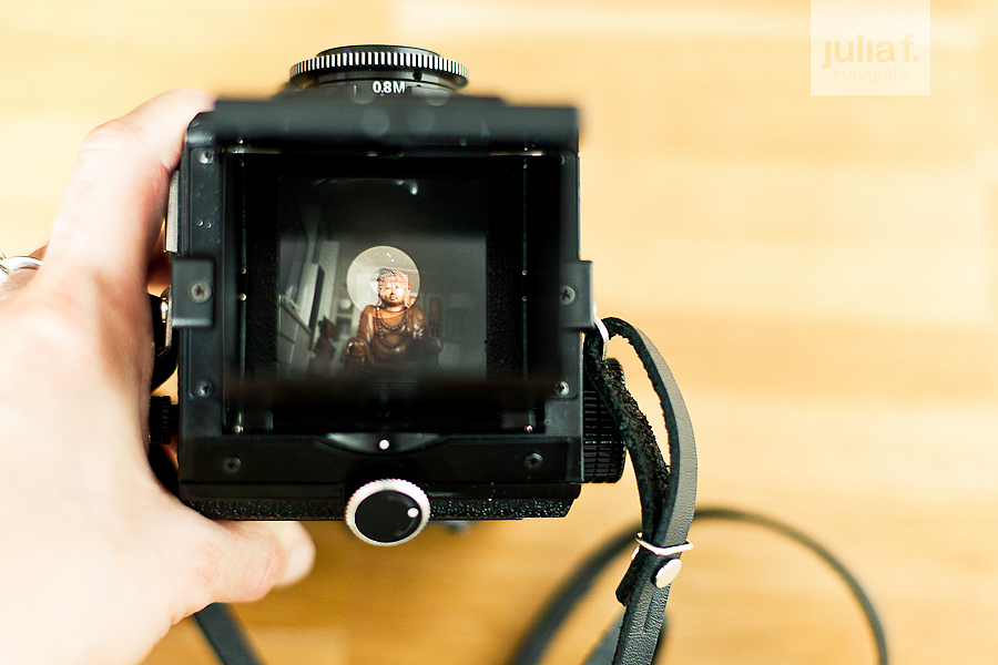 lubitel3