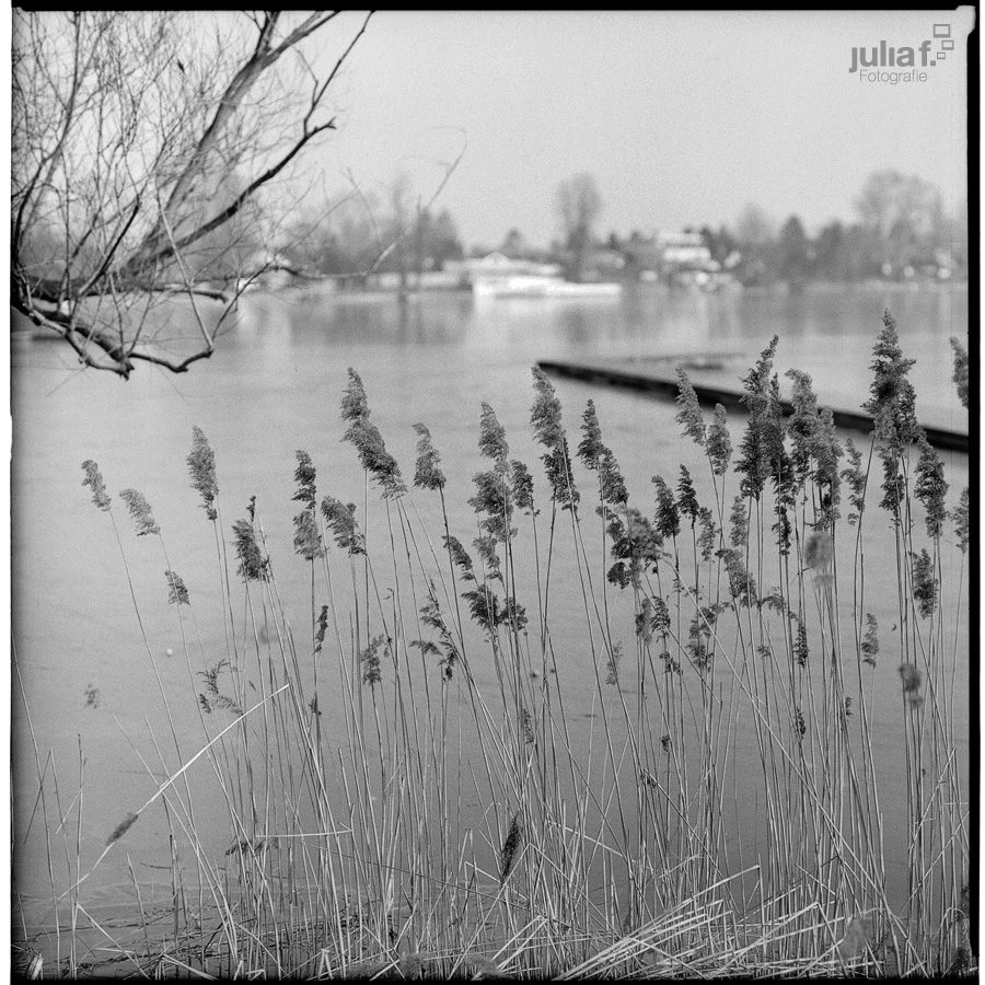 2011.02.27._Donaustadt_105