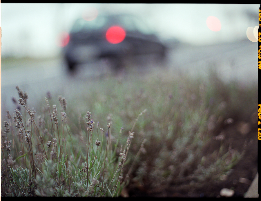 Contax_Januar2