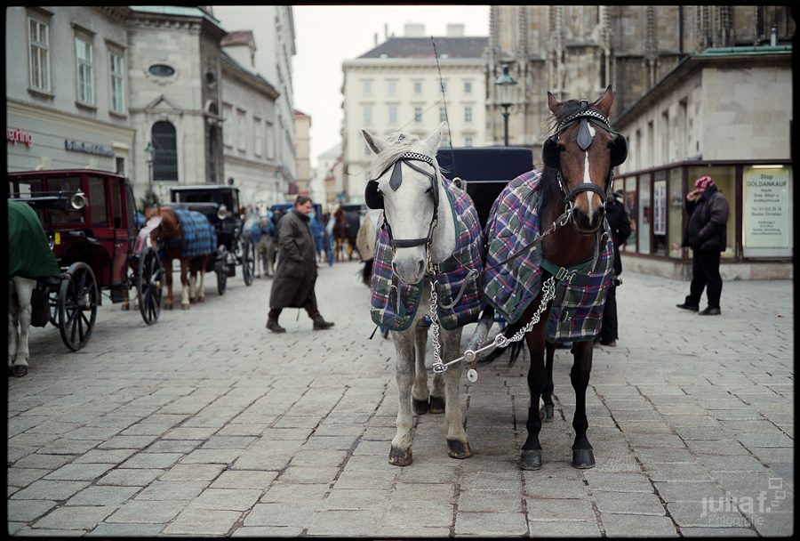 201202_wien_fujigw690_01
